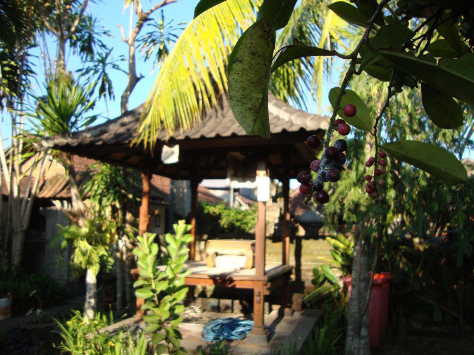 Gusti Home Stay Ubud Номер фото